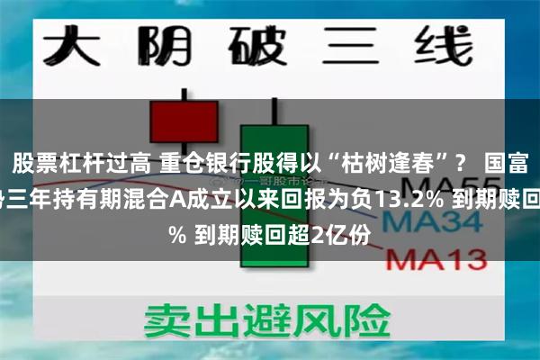 股票杠杆过高 重仓银行股得以“枯树逢春”？ 国富竞争优势三年