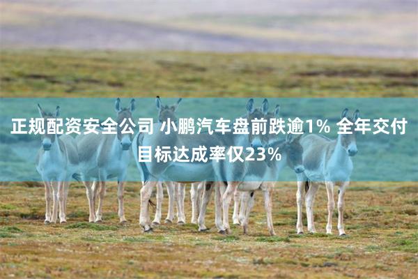 正规配资安全公司 小鹏汽车盘前跌逾1% 全年交付目标达成率仅