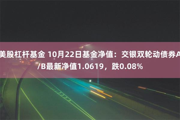 美股杠杆基金 10月22日基金净值：交银双轮动债券A/B最新