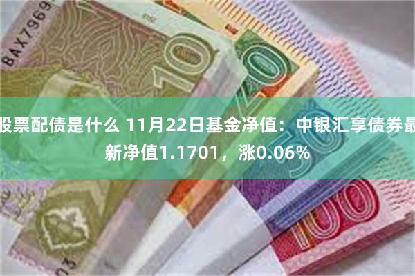 股票配债是什么 11月22日基金净值：中银汇享债券最新净值1