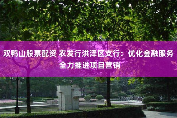 双鸭山股票配资 农发行洪泽区支行：优化金融服务 全力推进项目