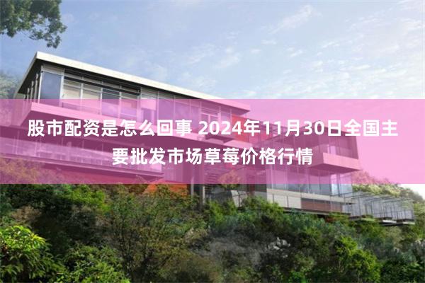 股市配资是怎么回事 2024年11月30日全国主要批发市场草