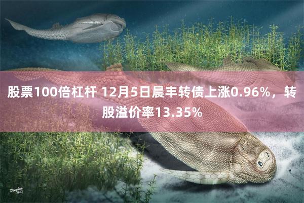 股票100倍杠杆 12月5日晨丰转债上涨0.96%，转股溢价