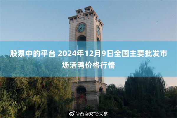 股票中的平台 2024年12月9日全国主要批发市场活鸭价格行