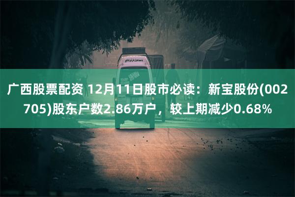 广西股票配资 12月11日股市必读：新宝股份(002705)