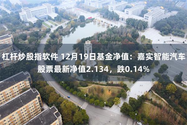 杠杆炒股指软件 12月19日基金净值：嘉实智能汽车股票最新净