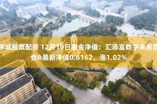 聊城股票配资 12月19日基金净值：汇添富数字未来混合A最新