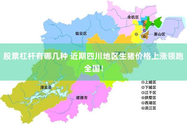 股票杠杆有哪几种 近期四川地区生猪价格上涨领跑全国！