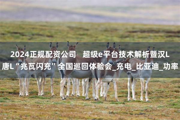 2024正规配资公司   超级e平台技术解析暨汉L唐L“兆瓦